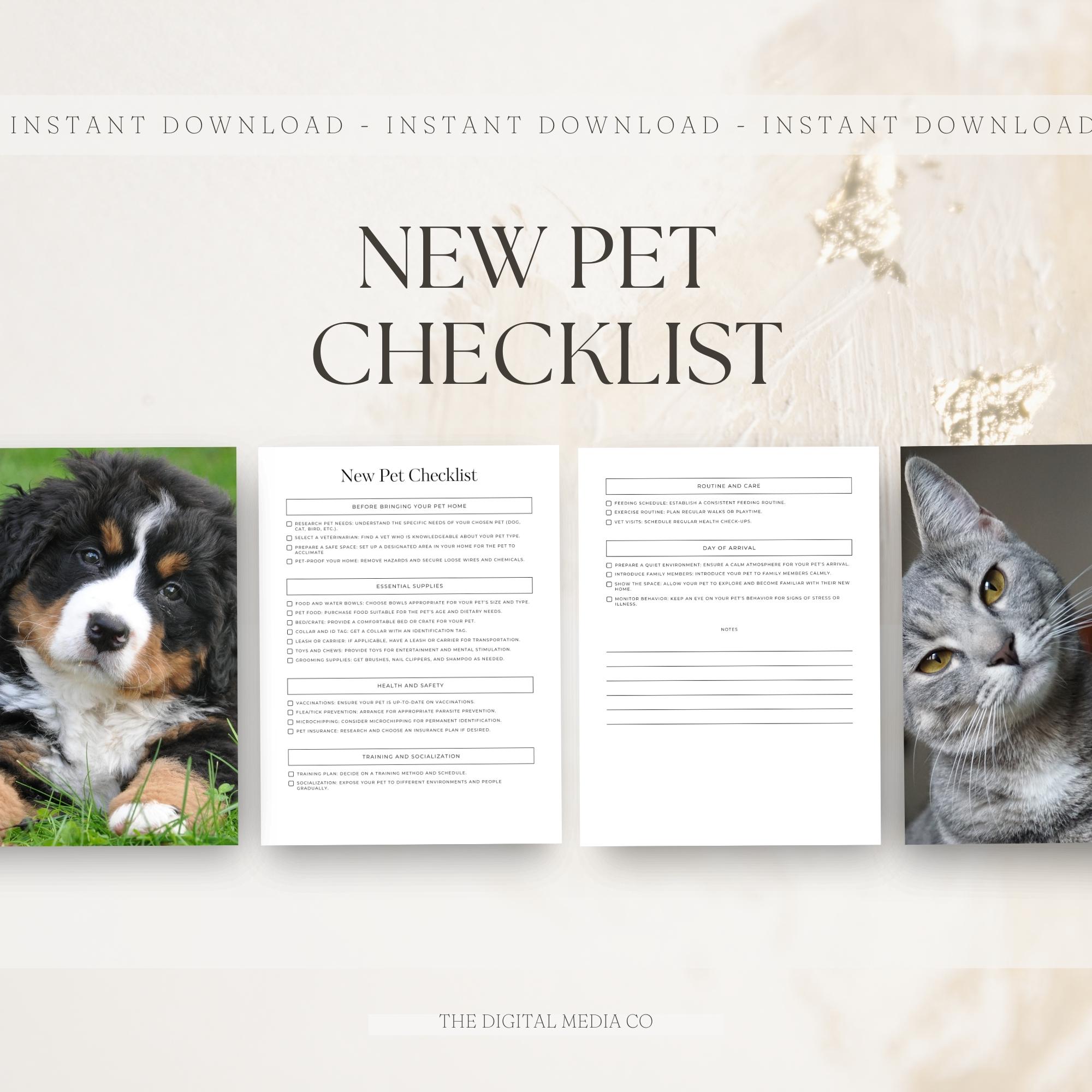 New Kitten How To Introduce Dog To Cat Household New Kitten How To