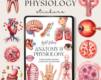 Anatony Digital Planner Stickers, Digital Sticker Book, Goodnotes Stickers, Physiology Planner, Ipad Stickers, Png Exercise Stickers