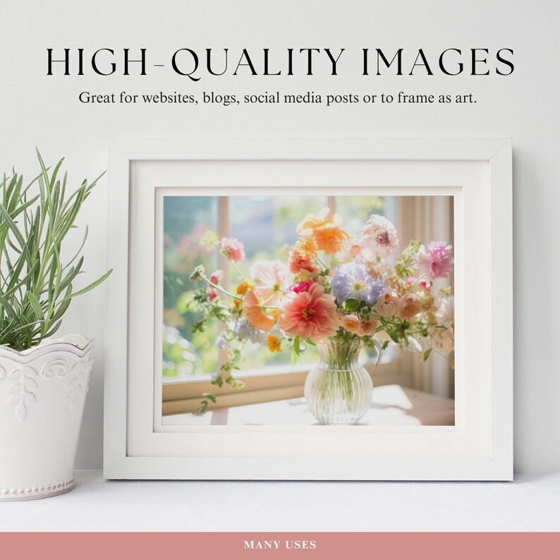 May include: A white frame with a picture of a bouquet of colorful flowers in a clear glass vase. The flowers are in a window with sunlight shining through. The text "HIGH-QUALITY IMAGES" is at the top of the image and the text "MANY USES" is at the bottom of the image.