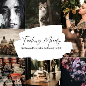 Moody Lightroom Presets for Mobile and Desktop Lightroom, Desaturated Presets, Rich Photo Filter, Instagram Editing, Edgy presets
