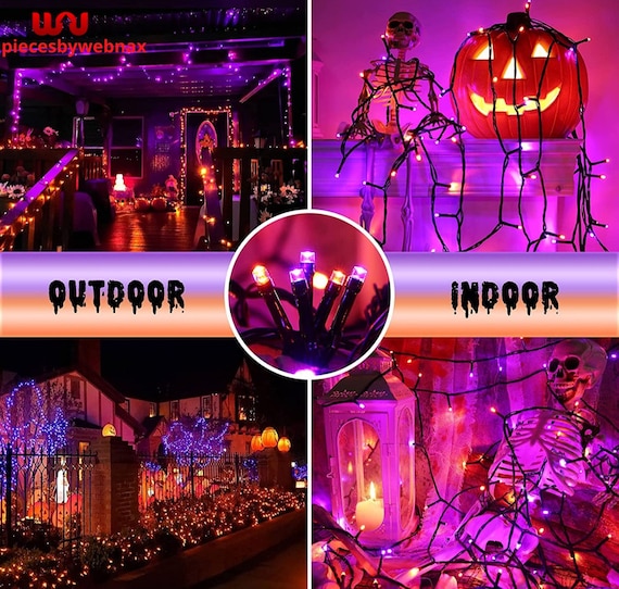 ライト・ランタン Somabito daibutsu purple Seimitsu Purple LB-49