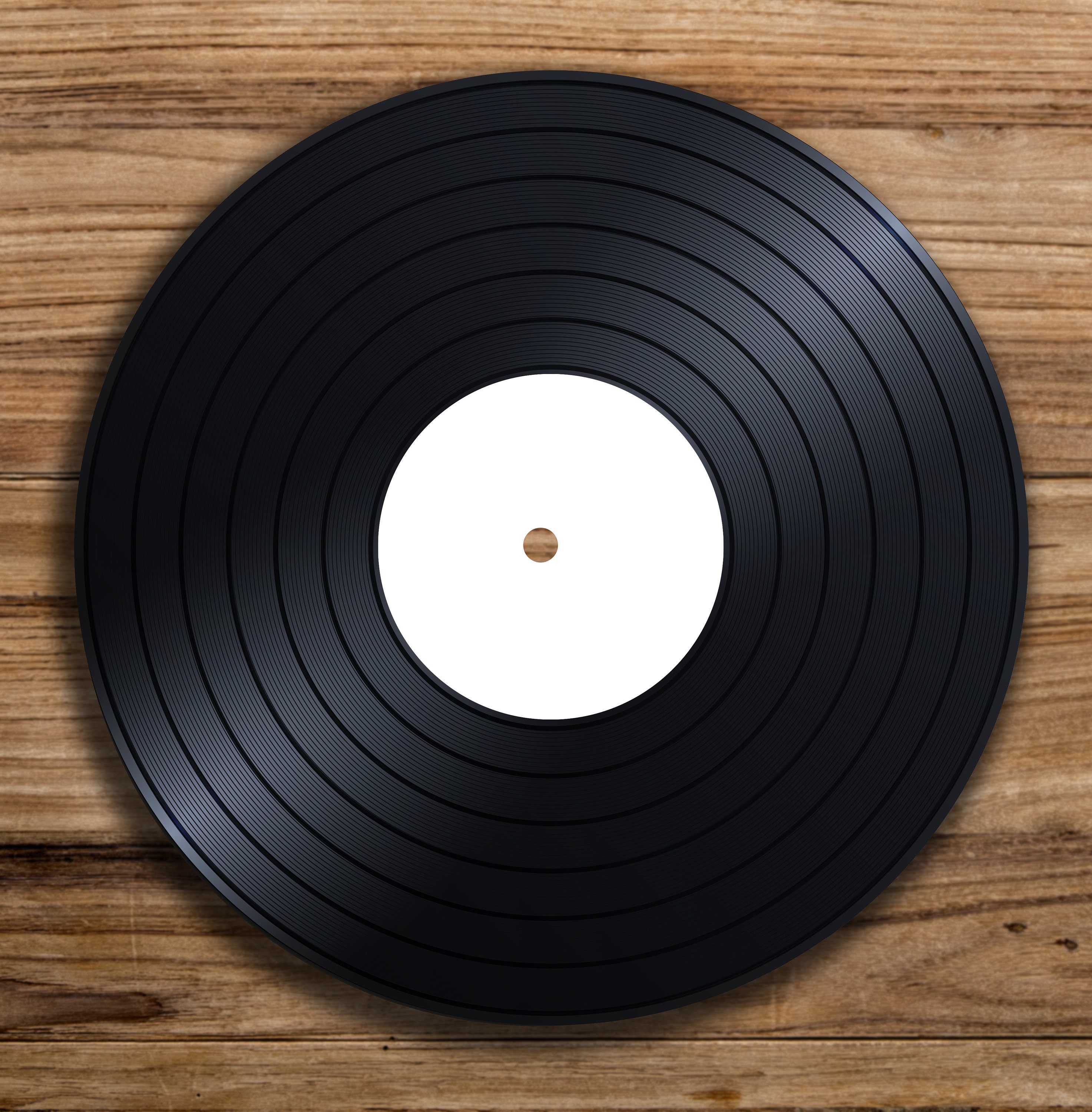 BLANK Record Sticker for Wedding Guest Book Wedding Guest Etsy