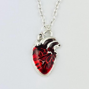 Puede incluir: Un collar de tono plateado con un colgante en forma de corazón humano anatómico. El colgante está relleno de esmalte rojo brillante y granate oscuro, resaltando los intrincados detalles vasculares del órgano, suspendido de una cadena plateada.