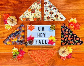 Fall, Thanksgiving Dog Bandana | Fall, Thanksgiving Cat Bandana | Over the Collar Dog Bandana | Over the Collar Cat Bandana