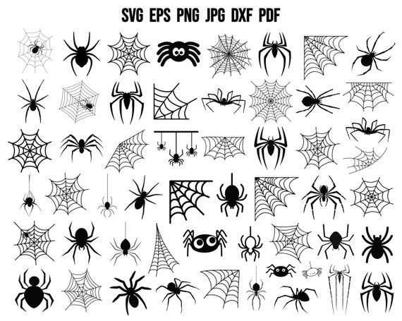 Spider SVG | Spider Web SVG | Halloween SVG | Cricut | Silhouette | Stencil | Clipart | Vector | Halloween Cut File | Instant Download Print