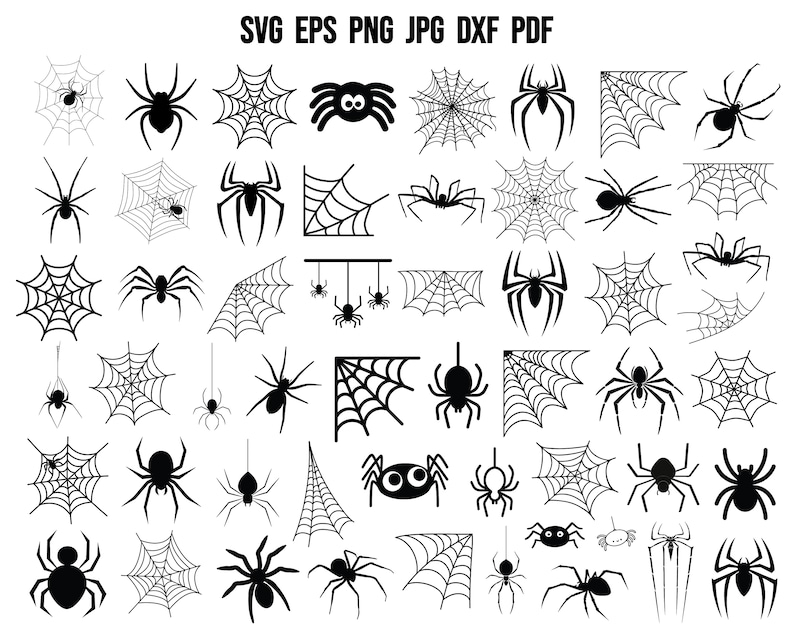 May include: A collection of 40 black and white spider and spiderweb illustrations. The illustrations are in a variety of styles, including cartoon, realistic, and abstract. The illustrations are perfect for use in crafting, scrapbooking, and other creative projects.