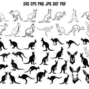 May include: A collection of kangaroo illustrations in various poses and styles. Some are solid black silhouettes, while others are line drawings. The image includes the text "SVG EPS PNG JPG DXF PDF" at the top.