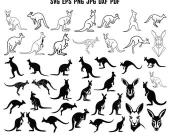 May include: A collection of kangaroo illustrations in various poses and styles. Some are solid black silhouettes, while others are line drawings. The image includes the text "SVG EPS PNG JPG DXF PDF" at the top.