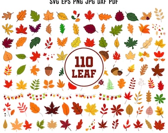 Fall leaves SVG | Fall Leaf Cut File | Clipart | Cricut | Hand drawn leaf SVG | Thanksgiving Svg | Fall Decor | Fall Shirt | Fall Bundle Svg
