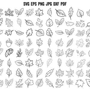 Fall Leaf SVG | Fall SVG | Hand drawn leaf SVG | Fall Leaves Silhouette | Cricut | Clipart | Outline Leaves Svg | Autumn Leaf Vector | Vinyl