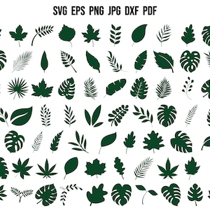 Hojas SVG, Hoja SVG, Hojas tropicales SVG, Plantilla de hoja, Hoja de papel Svg, Archivos cortados para Cricut, Silueta, Imágenes prediseñadas, Vector, Impresión