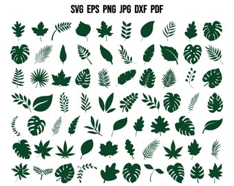 Leaves SVG | Leaf SVG | Tropical Leaves SVG | Leaf Template | Paper Leaf Svg | Cut Files for Cricut | Silhouette | Clipart | Vector | Print