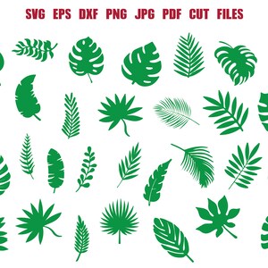 Tropical Leaves Svg Leaves Svg Leaf Svg Leaves Bundle Svg Palm Leaves Svg Palm Branch Svg Jungle Leaves Svg Leaves Vector Leaves Cut File