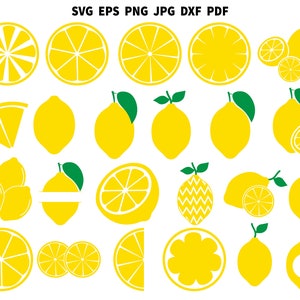 Lemon SVG PNG Clipart | Lemon Silhouette | Lemon Cut File | Lemon Cricut | Summer Svg | Summer Clipart | Lemon Vector | Lemon Printable Dxf