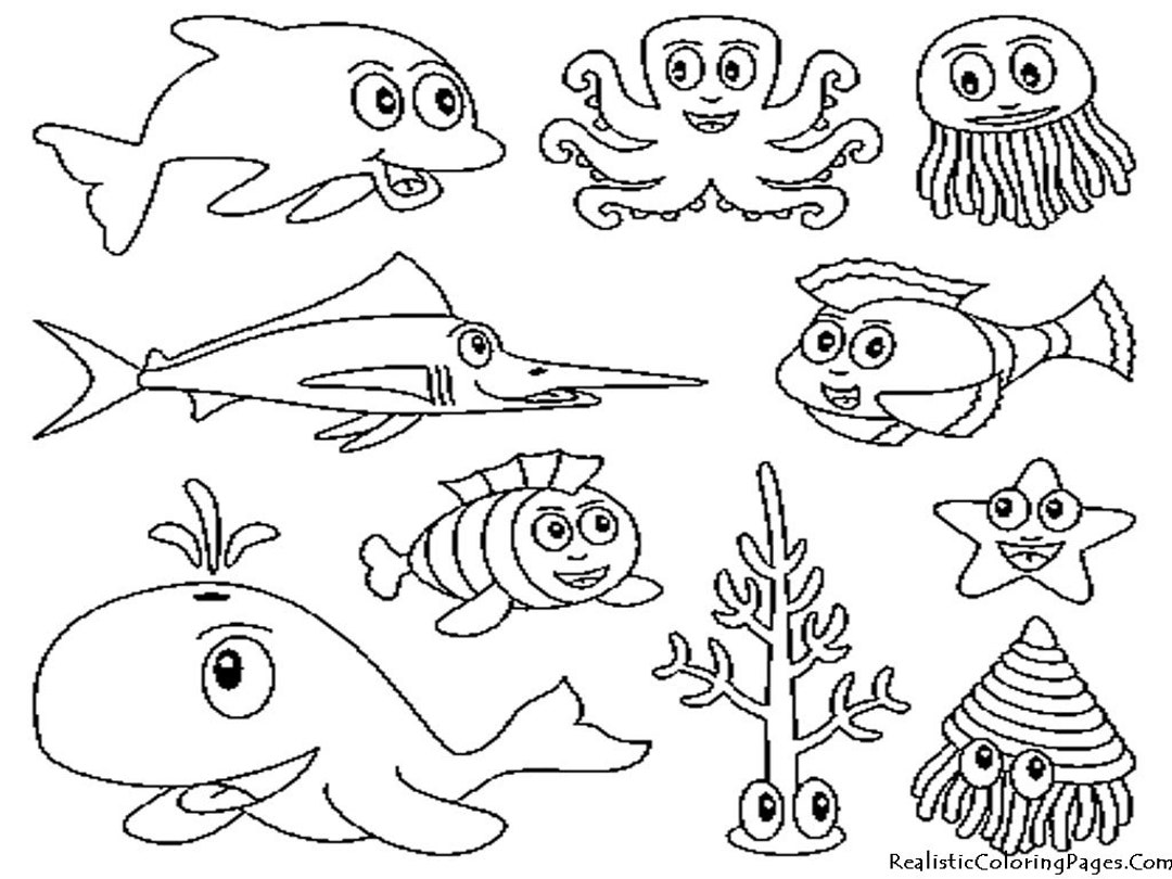 15 Page Ocean Animals Coloring Book - Etsy