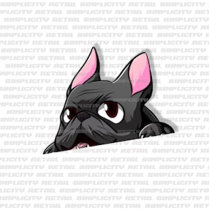 Frenchie Peeker