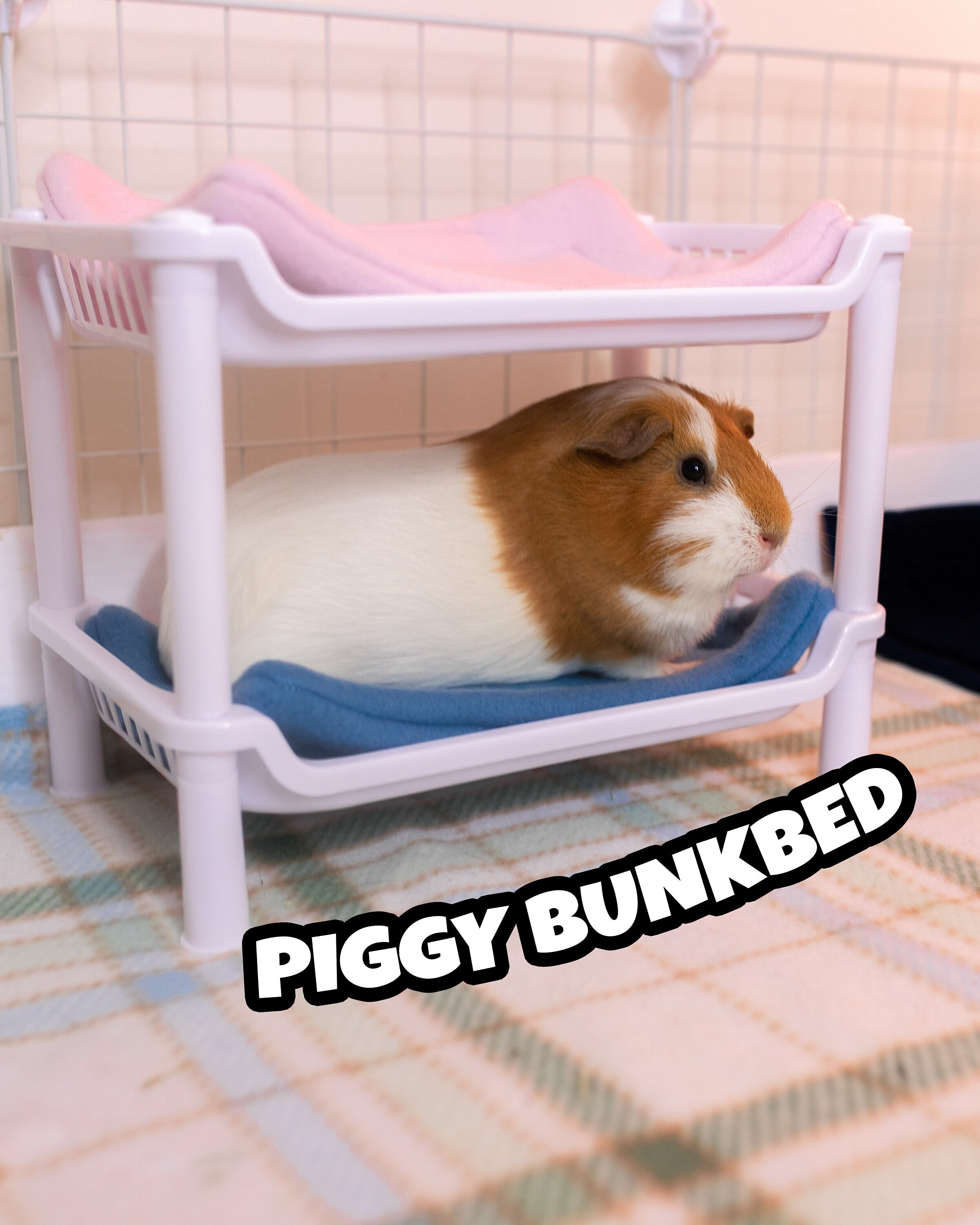 guinea pig bunk bed
