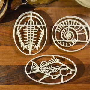 Fossil Cookie Cutters. Trilobite/Fish Fossil/Ammonite. Clay Cutters/Fondant Cutters.