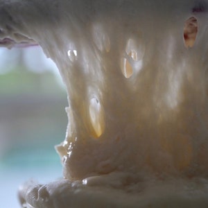 May include: Close-up of white dough being stretched, showing its elasticity and texture. The dough is soft and airy, with small holes throughout.