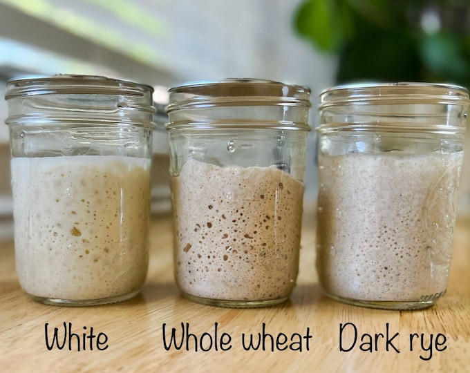 Organic 25g Sourdough Starter Kit: Live, Active with 8oz Mason Jar, Flour Feed & Instructions S-