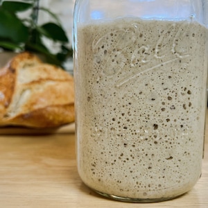 FRESH ORGANIC Dark Rye Sourdough Starter Active 45g/1.5oz Live Wet Liquid (Not Dried)with 16oz Ball Glass Mason Jar+Pre-Measured Feed Kit MR