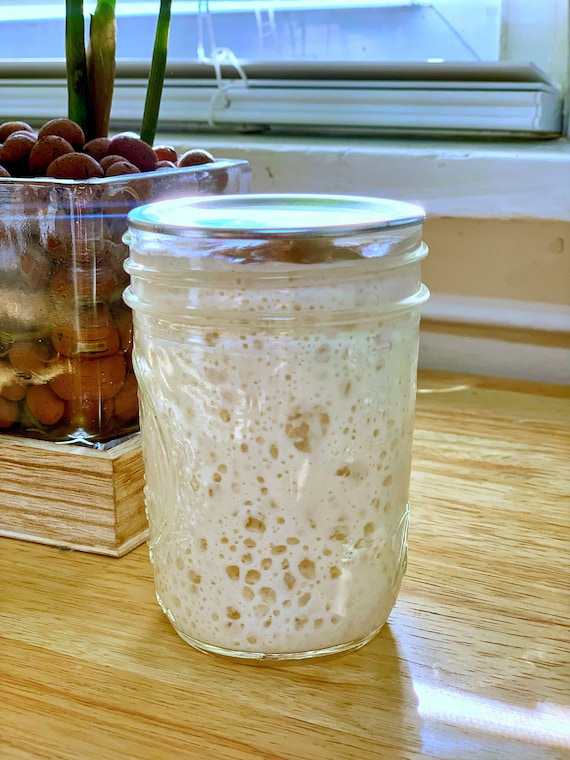 Organic 45g/1.5oz Sourdough Starter Kit: Live Active Culture with 16oz Mason Jar, Flour Feed & Instructions MW