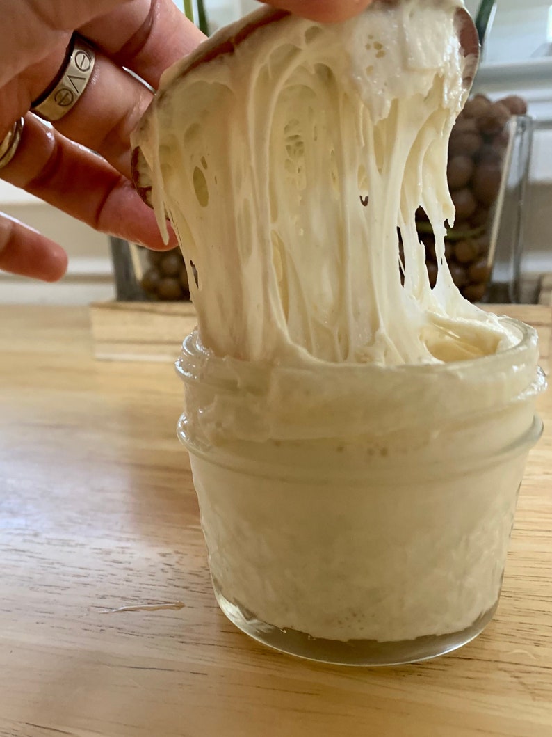 May include: A glass jar filled with a white, bubbly sourdough starter. The starter is being lifted out of the jar with a wooden spoon, showing its stretchy, elastic texture.