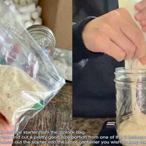May include: A clear ziplock bag containing a light beige starter is being squeezed into a glass jar. The text on the image reads: How to take out the starter from the ziplock bag. Step 1 lay flat and cut a pretty good size portion from one of the 2 bottom corners. Step 2 squeeze out the starter into the jar or container you wish to keep the starter in.