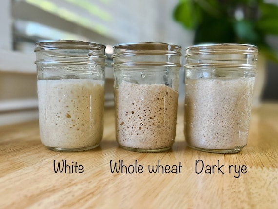 Organic 25g Sourdough Starter Kit: Live, Active with 8oz Mason Jar, Flour Feed & Instructions S-