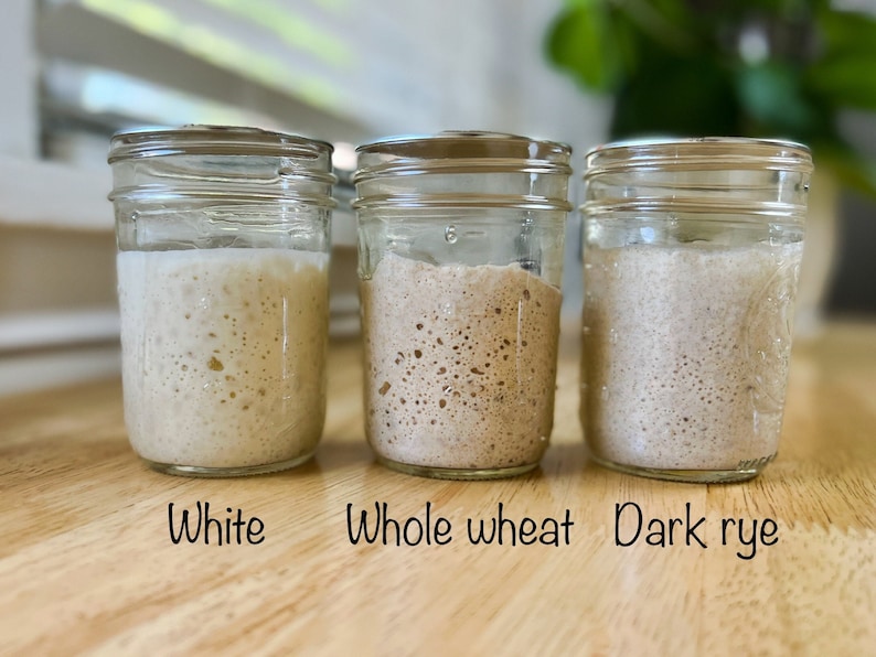 May include: Three glass jars with metal lids, each filled with a different type of sourdough starter: white, whole wheat, and dark rye. The jars are labeled with the type of flour used. The starters have a bubbly, airy texture.
