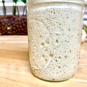 May include: A clear glass jar filled with a bubbly, off-white mixture, likely a sourdough starter. The jar is embossed with a decorative pattern. The background includes a wooden surface and a glimpse of greenery.