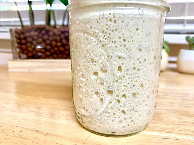 May include: A clear glass jar filled with a bubbly, off-white mixture, likely a sourdough starter. The jar is embossed with a decorative pattern. The background includes a wooden surface and a glimpse of greenery.