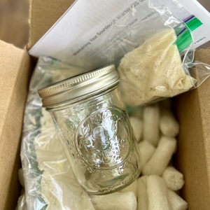 May include: A sourdough starter kit in a cardboard box. The kit includes a clear glass jar with a silver lid, packets of starter, and packing peanuts. A sheet of paper is visible with text.