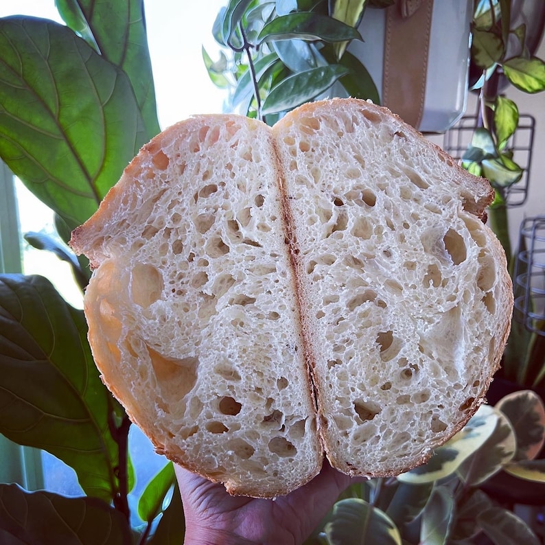 May include: A close-up of a sliced loaf of white bread, showing the soft, airy texture and the crumb structure. The bread is light in color and has a slightly golden hue.