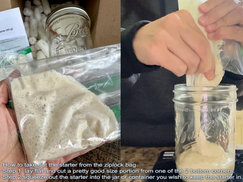 May include: How to take out the starter from the ziplock bag. Step 1 lay flat and cut a pretty good size portion from one of the 2 bottom corners. Step 2 squeeze out the starter into the jar or container you wish to keep the starter in.
