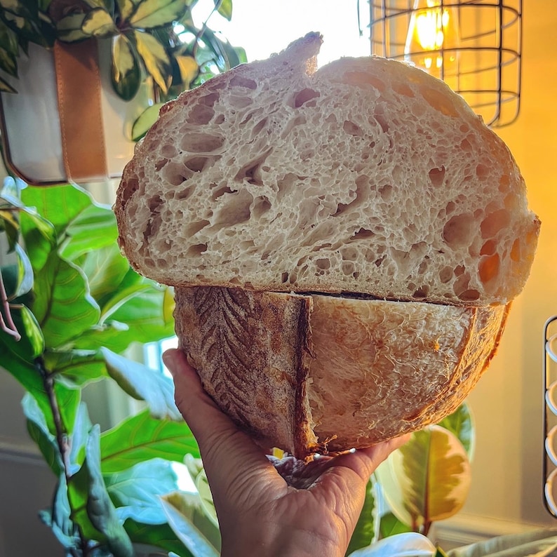 May include: A sliced loaf of artisan bread, showcasing a light brown crust and a porous interior. The bread is held up, revealing its texture and the air pockets within. The image is well-lit, highlighting the details of the baked goods.