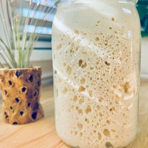 FRESH with 32oz Ball Glass Mason Jar ORGANIC Sourdough Starter 100g/3.5oz Very Active Live Wet Liquid(Not Dried) + Pre-Measured Flour Kit L-