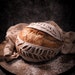 breadmonsterbaker