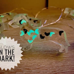 Glow in the Dark Bats Dachshund|Corgi|French Bulldog Fall/Halloween String Lights