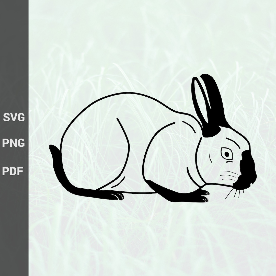 Himalayan Rabbit