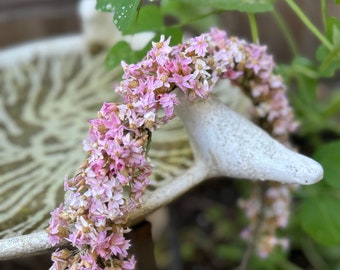 Soft pink dried flower crown