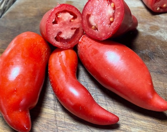 Opalka - Semi di pomodoro - Pomodoro antico - 25+ semi