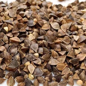 Graines de sarrasin (Fagopyrum esculentum, sarrasin commun) - Annuelle - 10 g - Plus de 350 graines