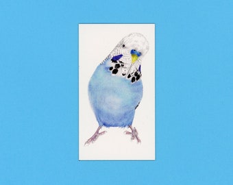 Fridge magnet featuring a cute colourful blue budgie illustration.
