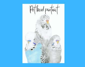 Hand drawn portrait of your pet bird (s) in coloured pencil based on your photograph (s)