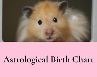 Astrological Birth Chart