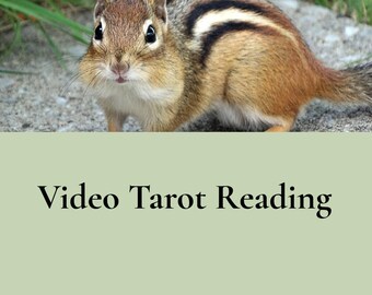 Video Tarot Reading