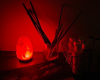 Natural Himalayan Salt Lamp with USB Port | Desk Lamp | Changing LED Lights | Trendy Room Accessories