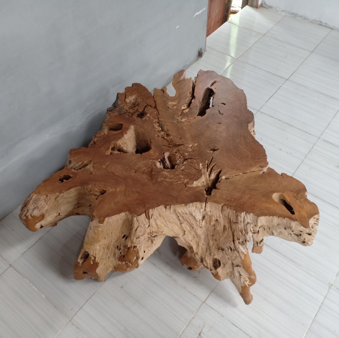 47 Rustic Teak Root Coffee Table Tree Root Table Etsy