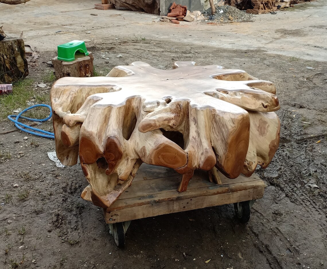 Round Teak Root Coffee Table Tree Root Coffee Table Live Etsy